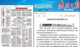 陕西榆林爆料事件最新,揭开背后真相，社会关注焦点再升级