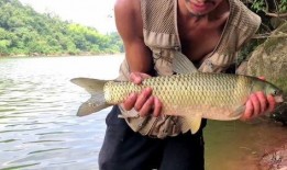 二毛野钓爆料视频下载,视频爆料中的垂钓技巧与心得分享