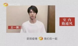 王伊泽爆料视频大全集下载,揭秘幕后真相与精彩瞬间